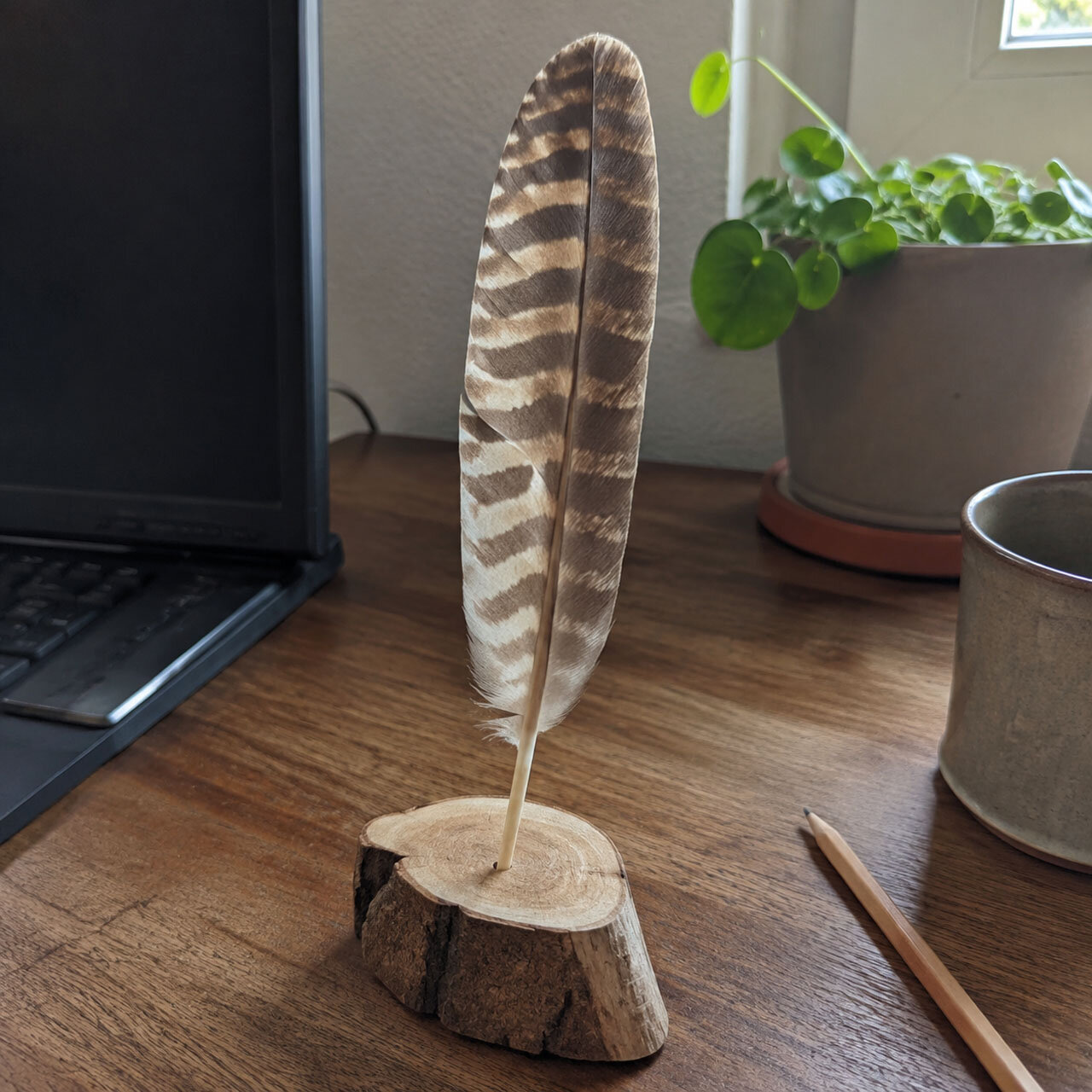Lass Dich von der Natur inspirieren