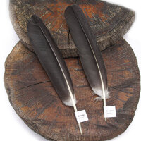 Weißstorch - Schwungfedern Set - 00490-2