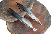 Kordillerenadler - Set Schwungfedern - 00500-2