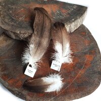 Adlerfeder - Weißkopfseeadler - Deckfedern - Set - 00492-3