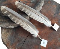 Federset vom Luggerfalken - Stoßfeder 00519-2