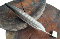 Federset vom Luggerfalken - Schwungfeder 00518