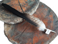 Feder vom Schwarzmilan - Schwungfeder - 00507