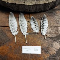 Rotrückenbussard - Deckfedern Set - 00539-4