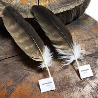 Schwarzmilan - Schwungfeder Set - 00571-2