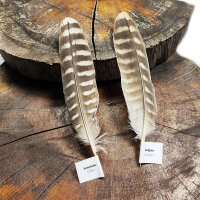 Sakerfalke - Stoßfeder Set - 00593-2