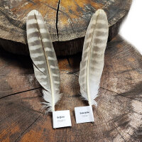 Sakerfalke - Stoßfeder Set - 00593-2