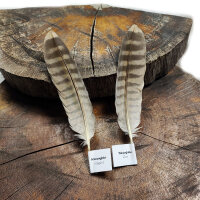 Wüstenfalken - Stoßfedern Set - 00592-2