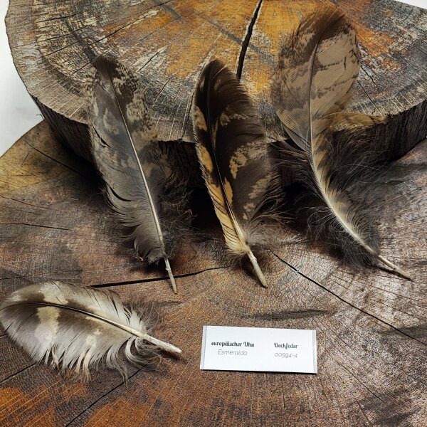 Europäischer Uhu - Deckfedern Set - 00594-4