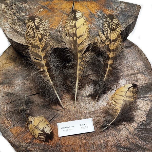 Europäischer Uhu - Deckfedern Set - 00596-5