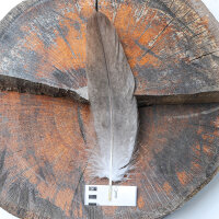 Weißkopfseeadler Deckfeder | Vogelfeder | Nr. 00609-1
